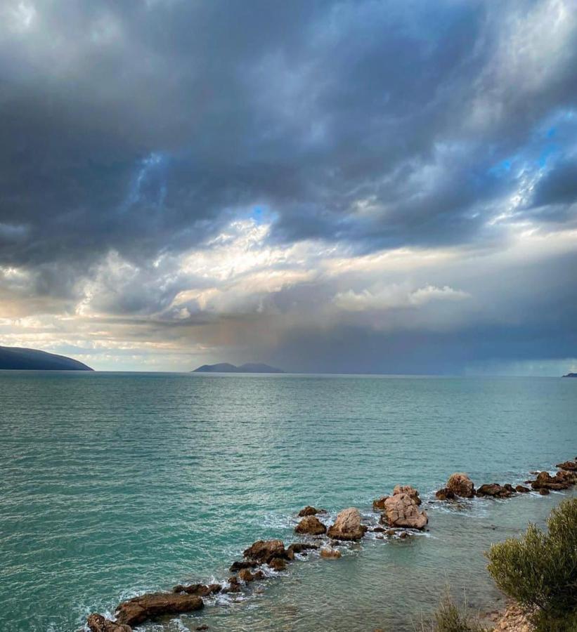 Hotel Blue Orchidea Vlore